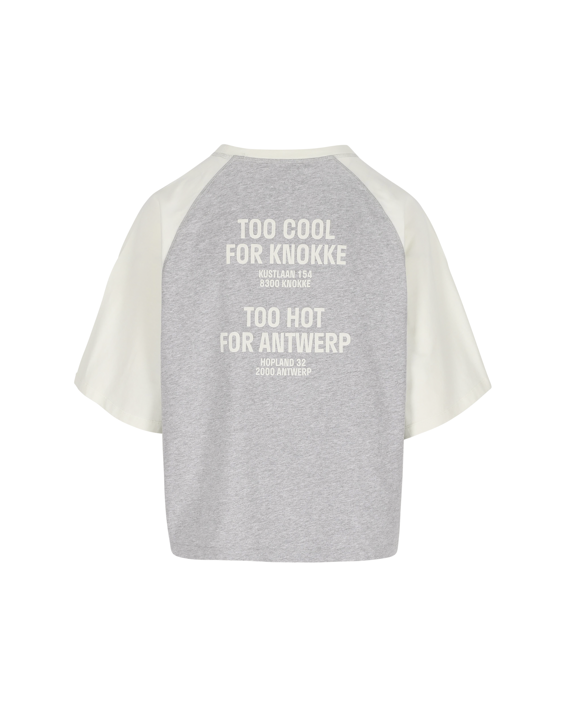 Raglan Short Sleeve - Grey/White